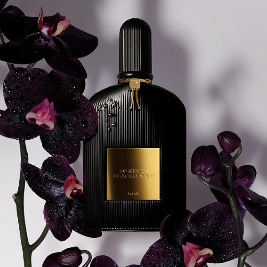 Black Orchid tom ford highlights
